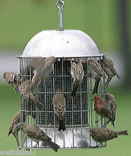 M100 Deluxe Super Squirrel Proof Bird Feeder
